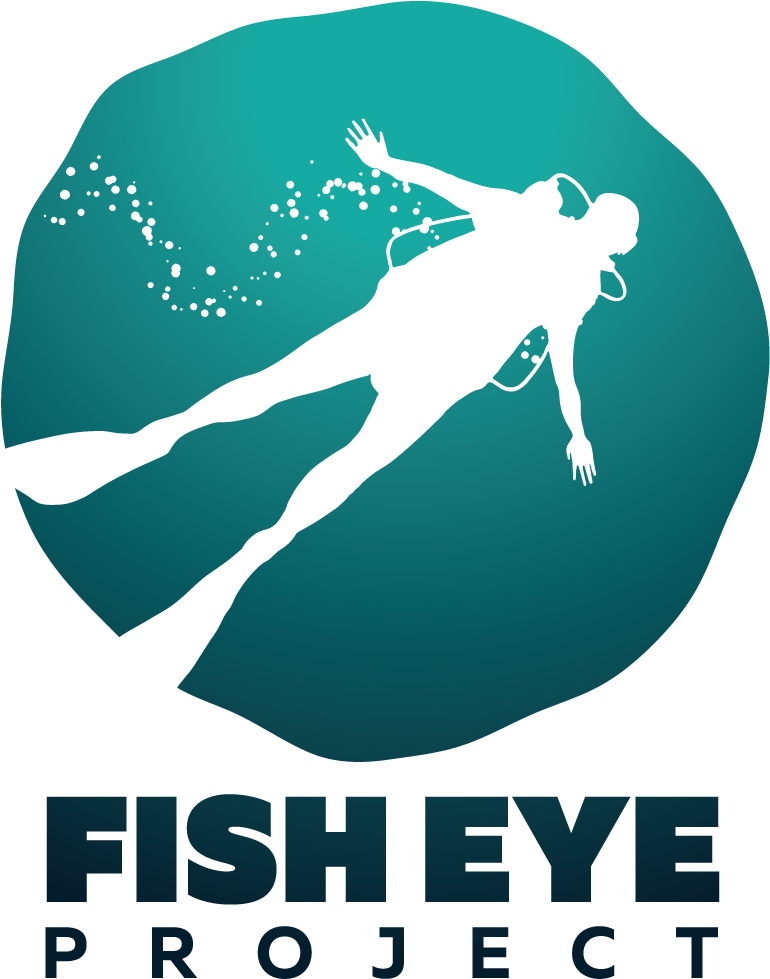 Fish Eye Project (974x1183)