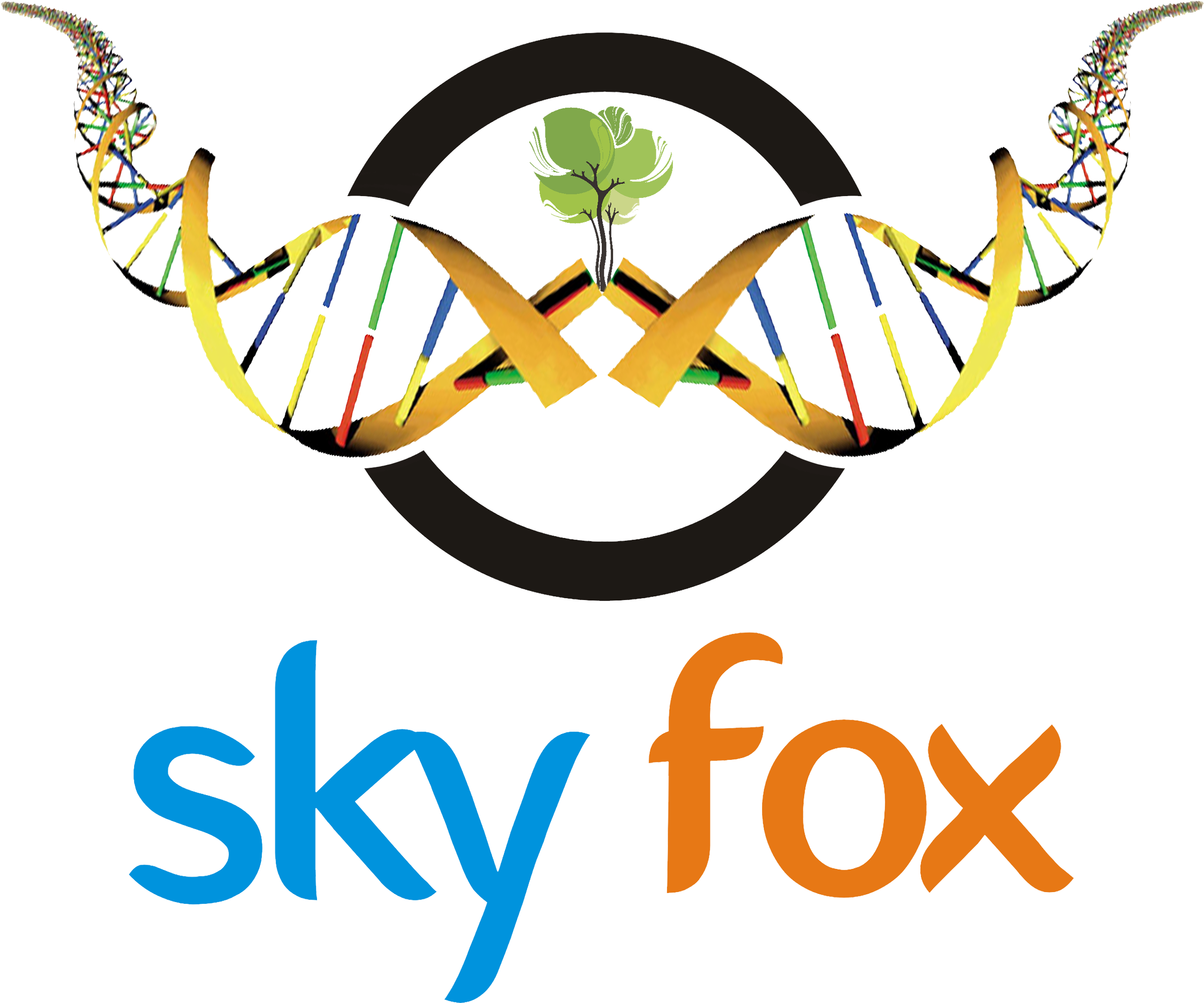 Skyfox Publishing Group - Academic Journal (2686x2263)