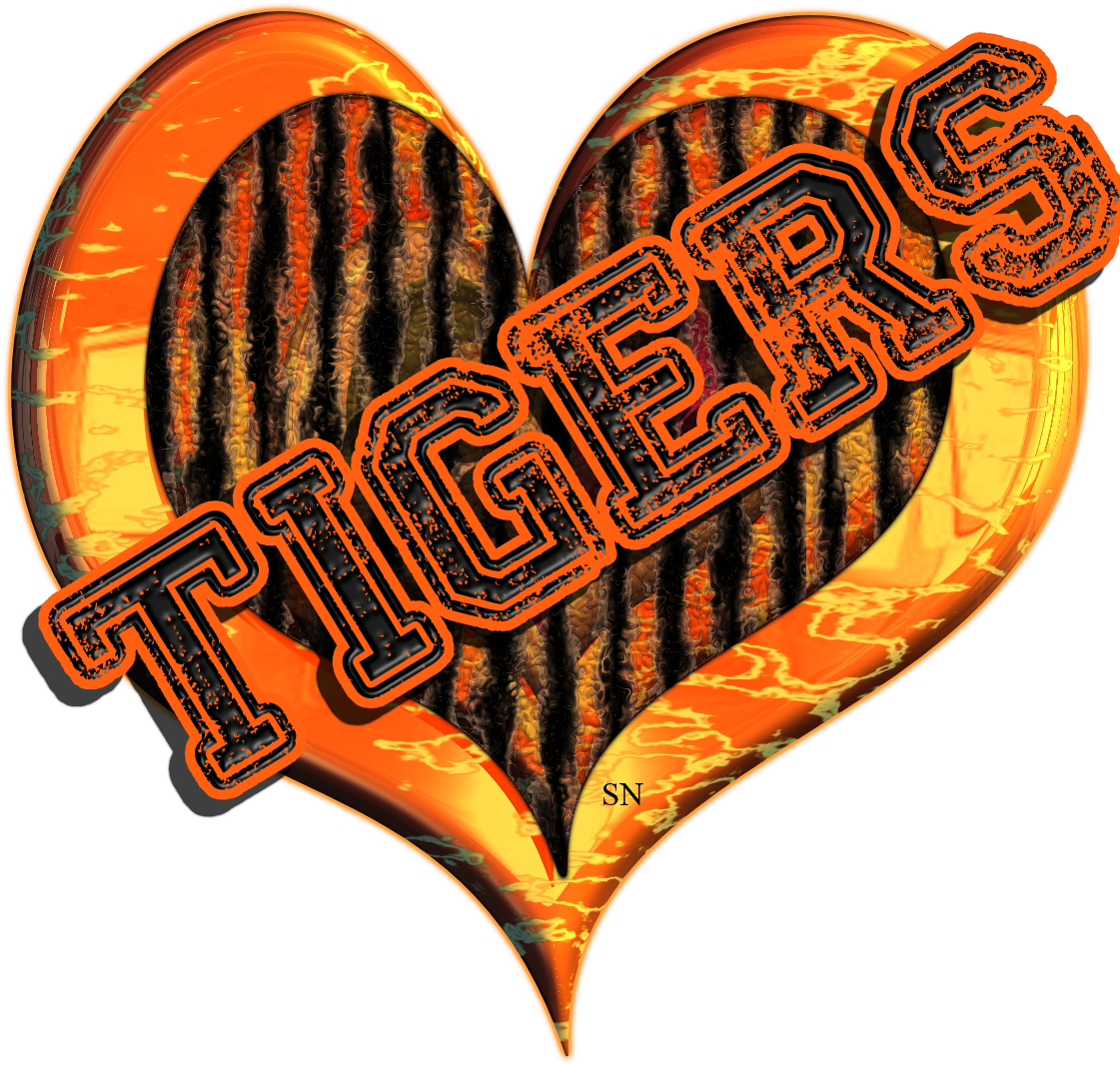 Massillon Football Photos - Illustration (1152x1152)