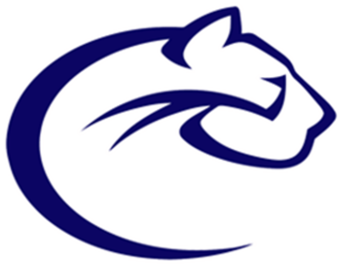 Chatham University Athletics (720x600)