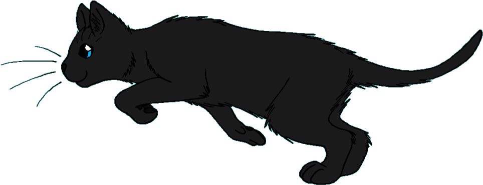 Ravenwing - Warrior Cats Stormcloud (1024x406)