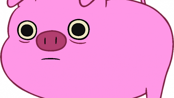 The Jefferson High School Spring Sports Teams Are Doing - Adventure Time Mr Piggy (600x338)