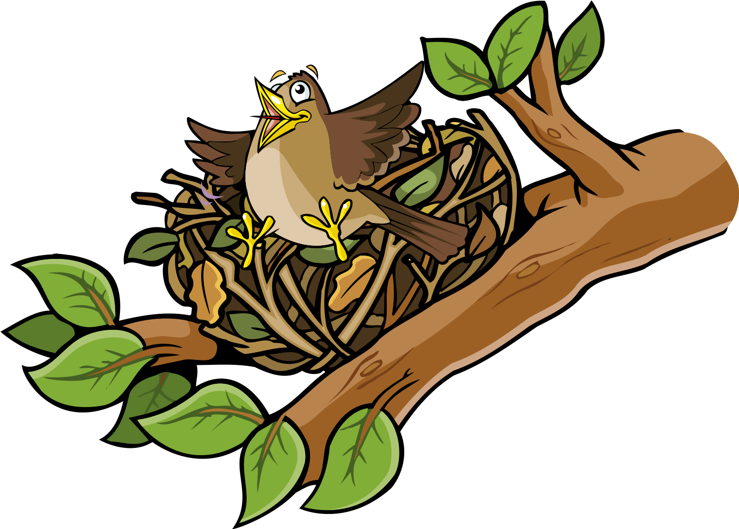 Bird Habitat Nature Animal Organism - Nest Cartoon (2000x2000)