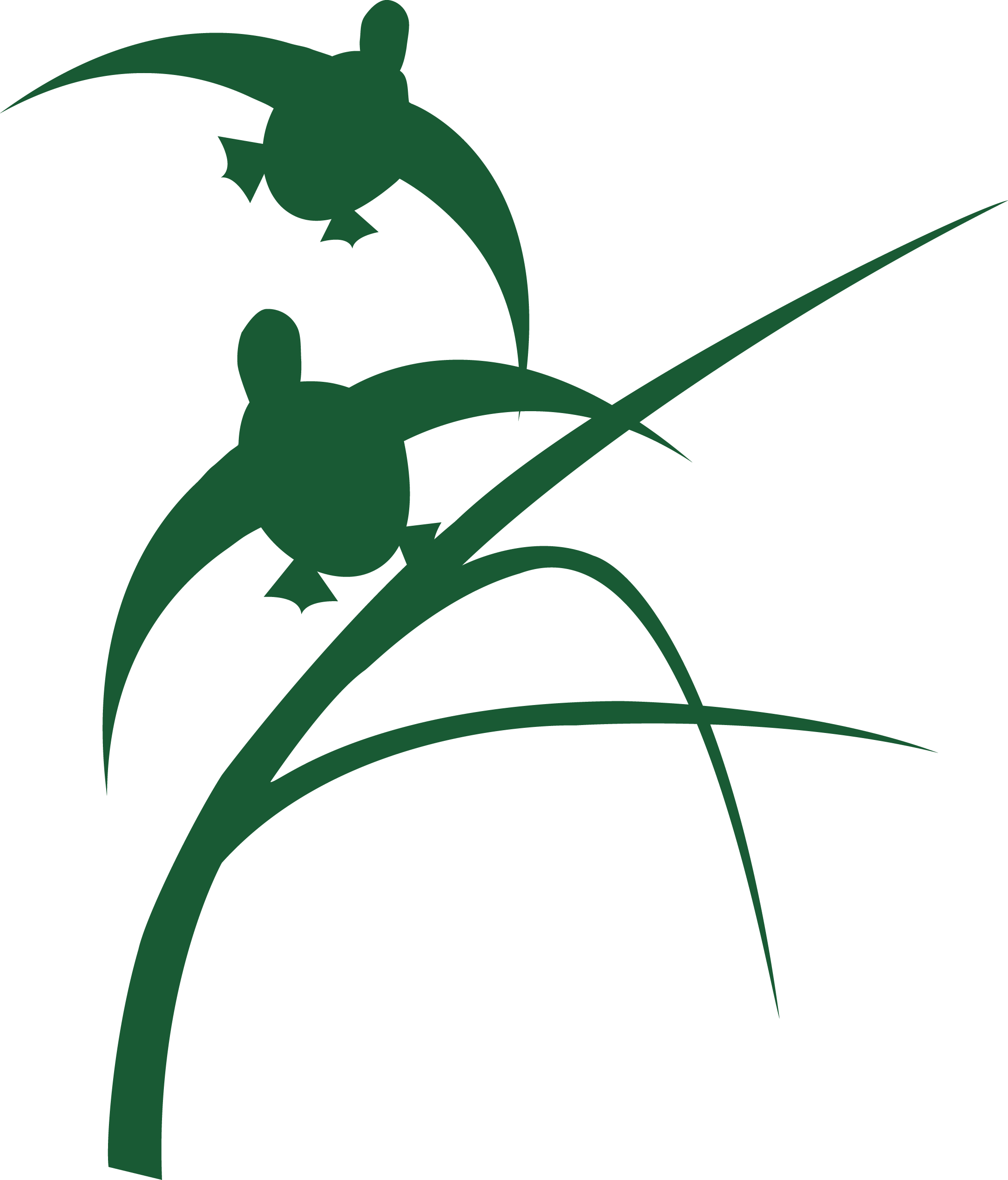 Habitat Flats Shop - Habitat Flats (2165x2534)