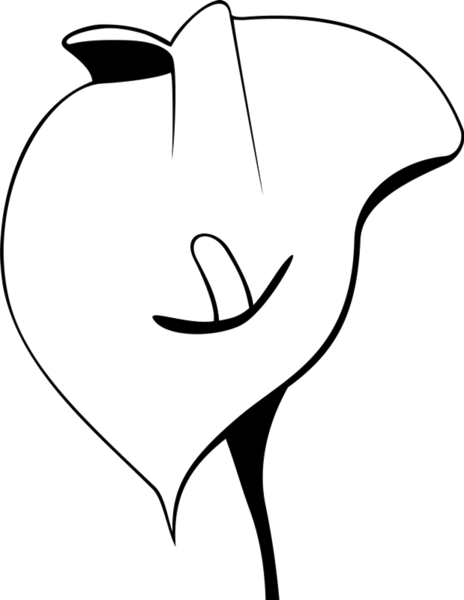 Calla Lily Outline Rubber Stamp - Rubber Stamp (464x600)