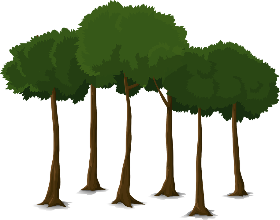 Free Tree Vectors 29, Buy Clip Art - Trees Vector Png (915x720)