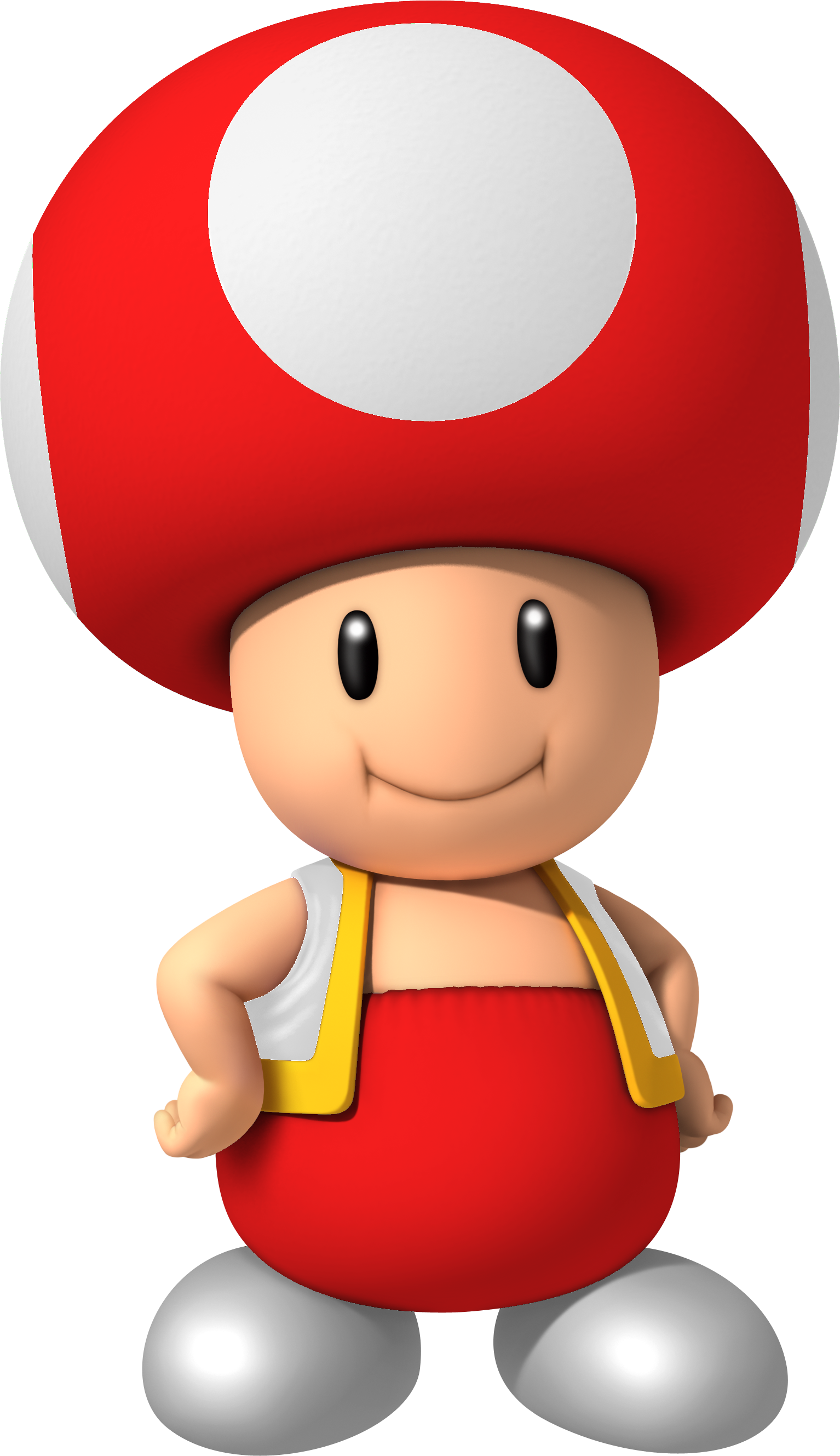 Image - Mario Bros Wii Blue Toad (1534x2657)
