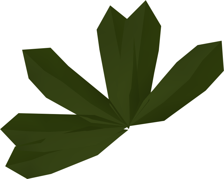 Kelp Detail - Druze Star (762x609)