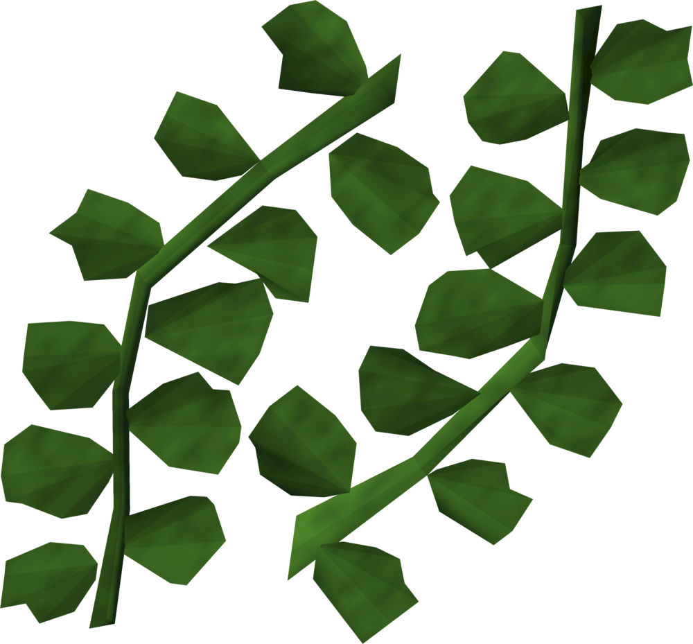 Seaweed Detail - Flag (1000x929)