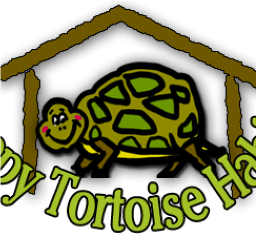 Happy Tortoise Habitat New Logo - Box Turtle (512x512)