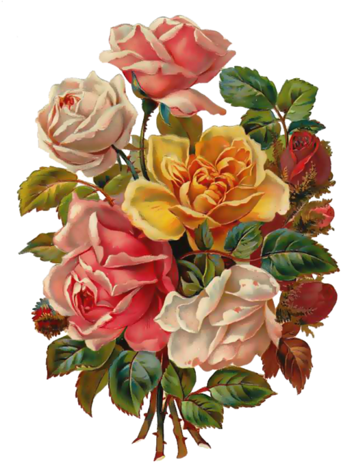 Dekopaj Kagıt Desenleri Yüksek , - Have A Great Day Picture Messages (543x699)