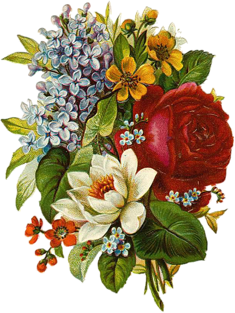 Free Image On Pixabay - Vintage Flowers Png (481x640)
