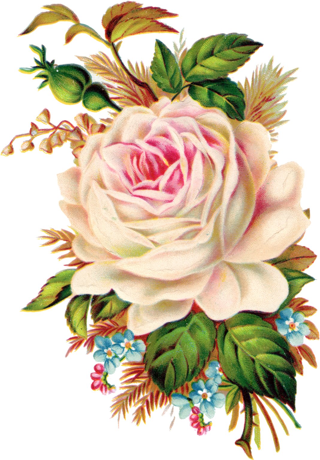 Neste Blog Você Poderá Encontrar Lindas Imagens No - Royalty Free Vintage Flower (1237x1600)