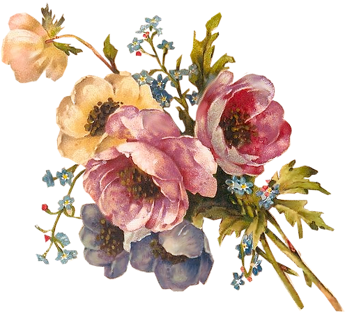 Floral Piece Tuckdb Org - Vintage Flower Painting Png (528x451)