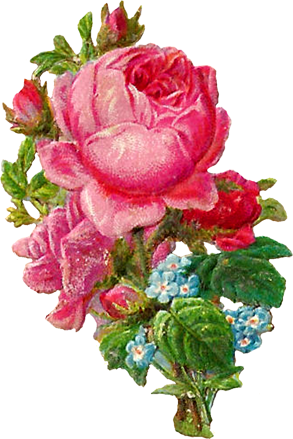 The First And Third Digital Pink Rose Images Look Very - Clip Art (1135x1600)