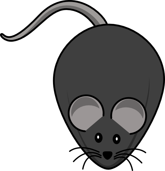 Fat Mouse Clipart (582x600)