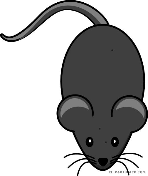 Black Mouse Animal Free Black White Clipart Images - Cartoon Mouse Tail Png (504x598)