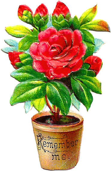 Antique - Png Flowers Pots Hd (658x846)
