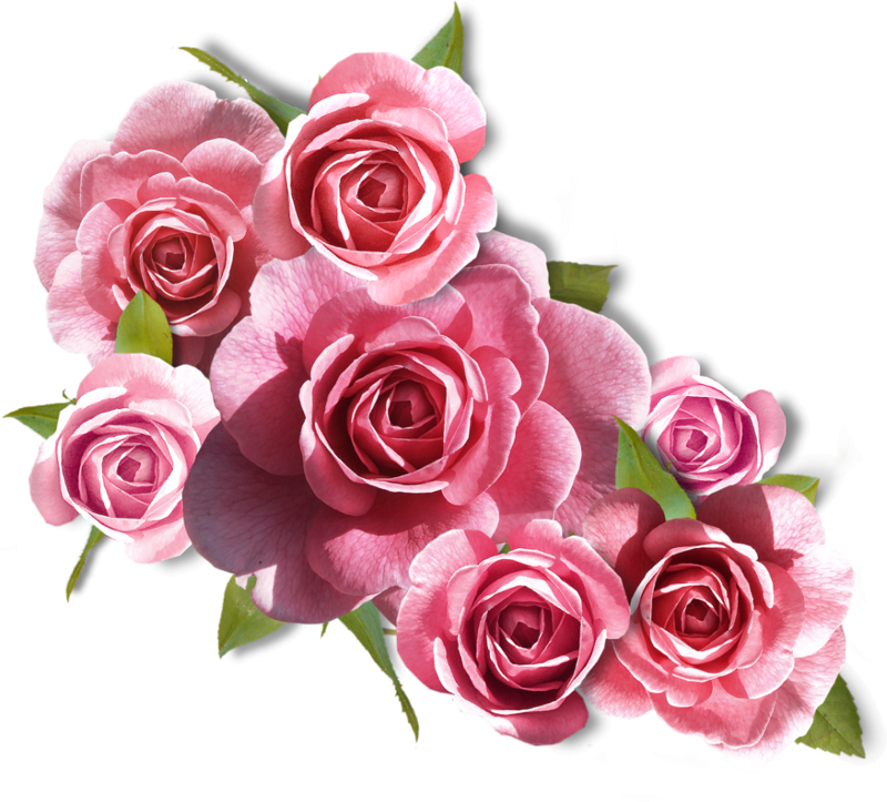 Flower Bouquet Rose Pink - Guten Morgen Schönen Donnerstag (800x723)