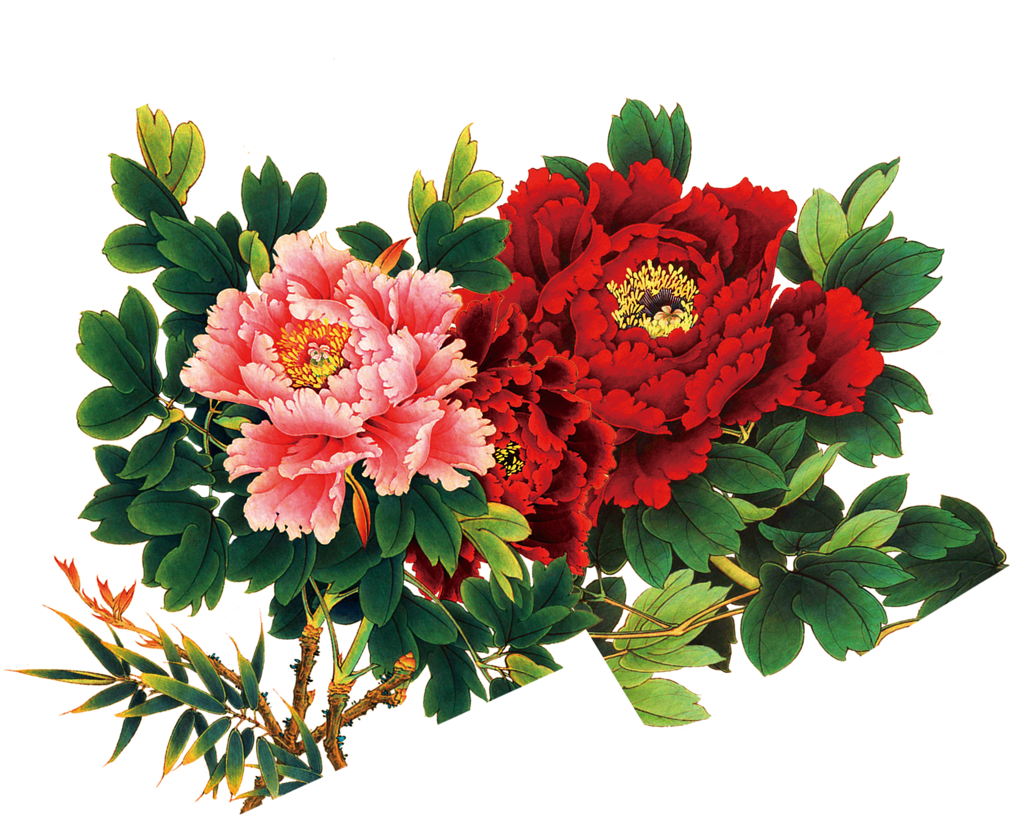 Floral Design Flower Bouquet - Arts Language Wooden Framed 16" X 20" Paint By Numbers (2000x2000)