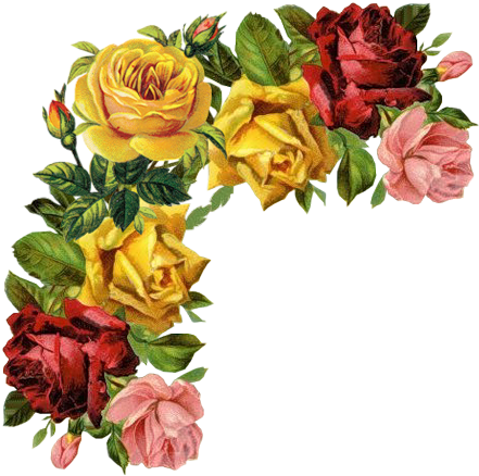 Victorian Die Cut - Yellow Rose Necklace - Rose Pendant And Chain - Yellow (500x484)