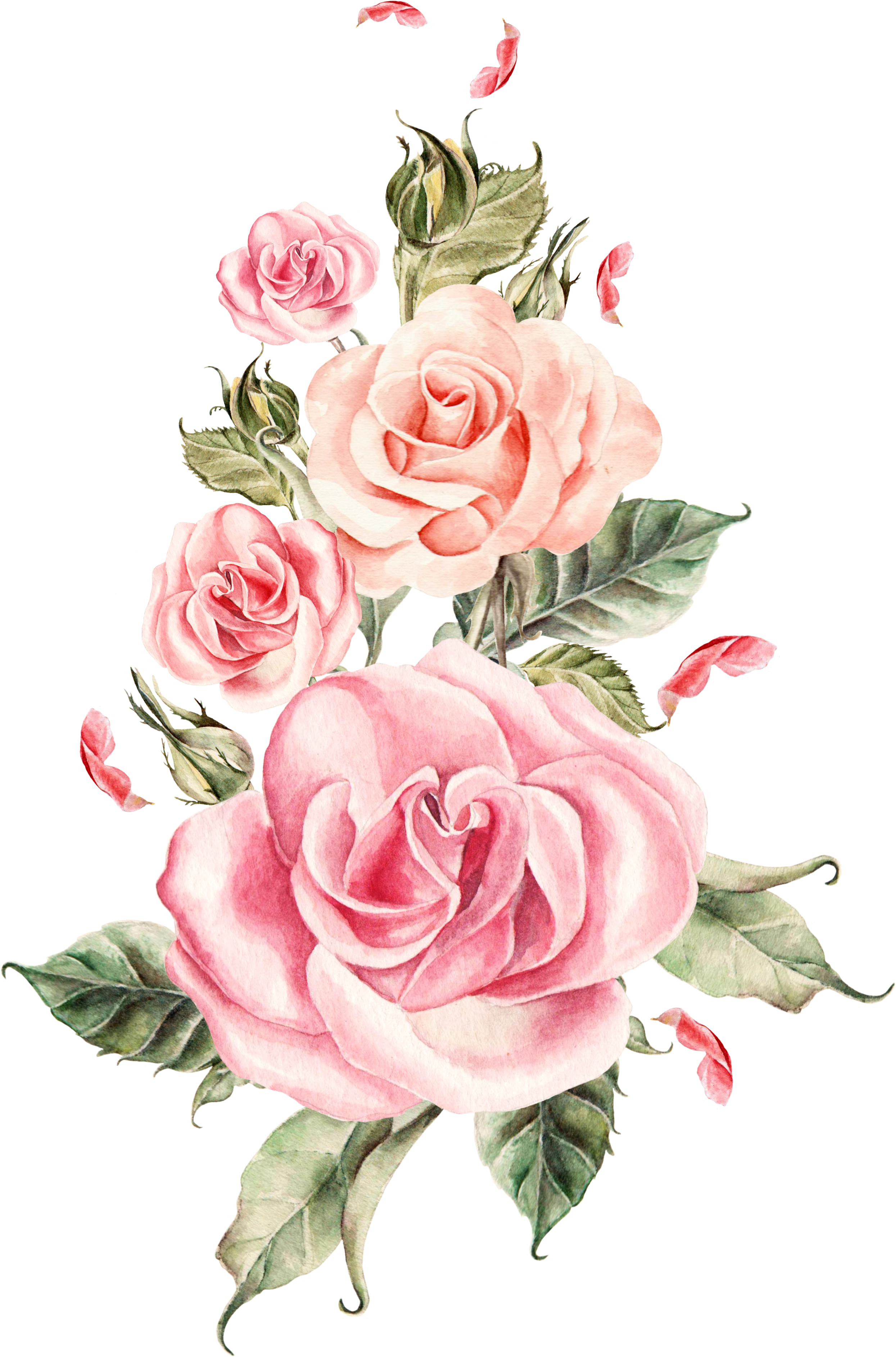 Wedding Rose Flower - Painted Pink Flowers (3055x4046)