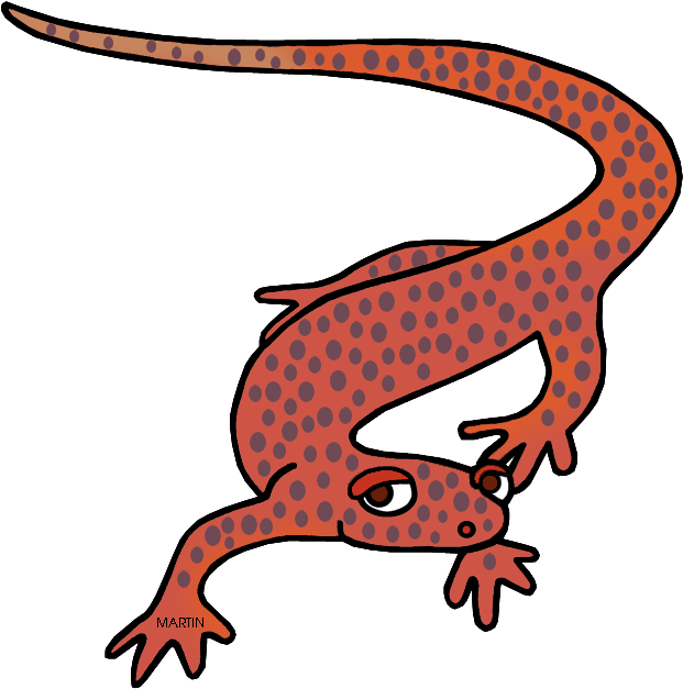 Tennessee State Amphibian - Tennessee Cave Salamander Cartoon (642x648)