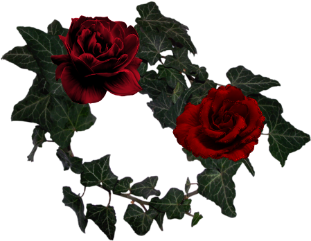 5 - Garden Roses (500x390)