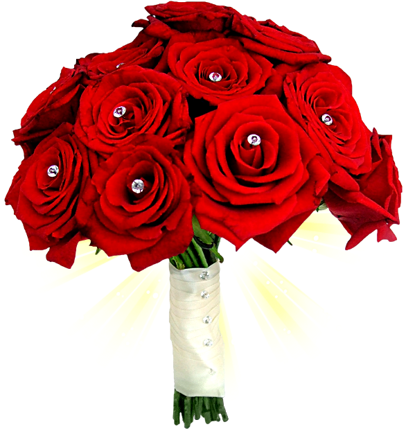 Romantic Rose Stickers Messages Sticker-2 - Rose Flower Bokeh Png (618x618)