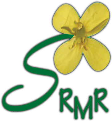 Society For Rapeseed-mustard Research - Icar-directorate Of Rapeseed Mustard Research (400x400)