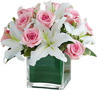 Pink Roses And White Lilies Cube In Houston, Tx - 1-800 Flowers Modern Embrace Pink Rose (345x378)