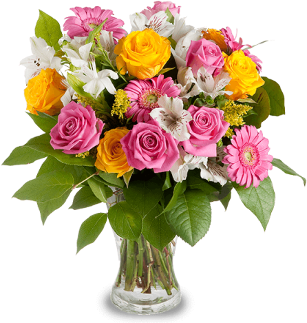 Yellow And Pink Roses - Mothers Day Flowers 2018 (480x480)