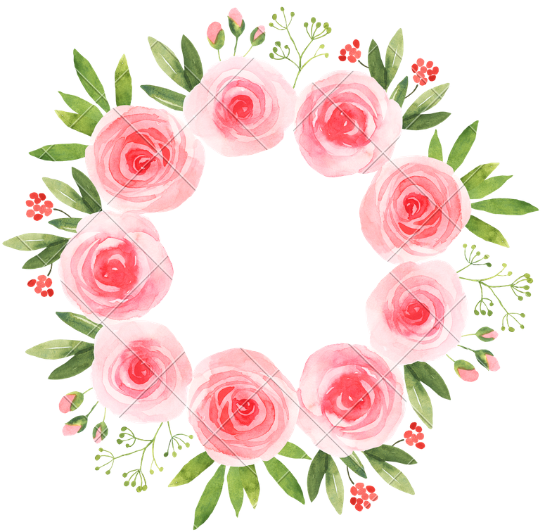 Watercolor Pink Roses Flower - Pink And Yellow Flower Clipart (800x800)