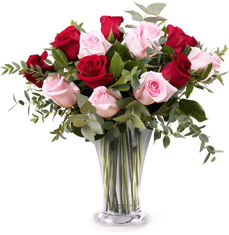 12 Red And Pink Roses - Mothers Day Flowers 2018 (480x480)
