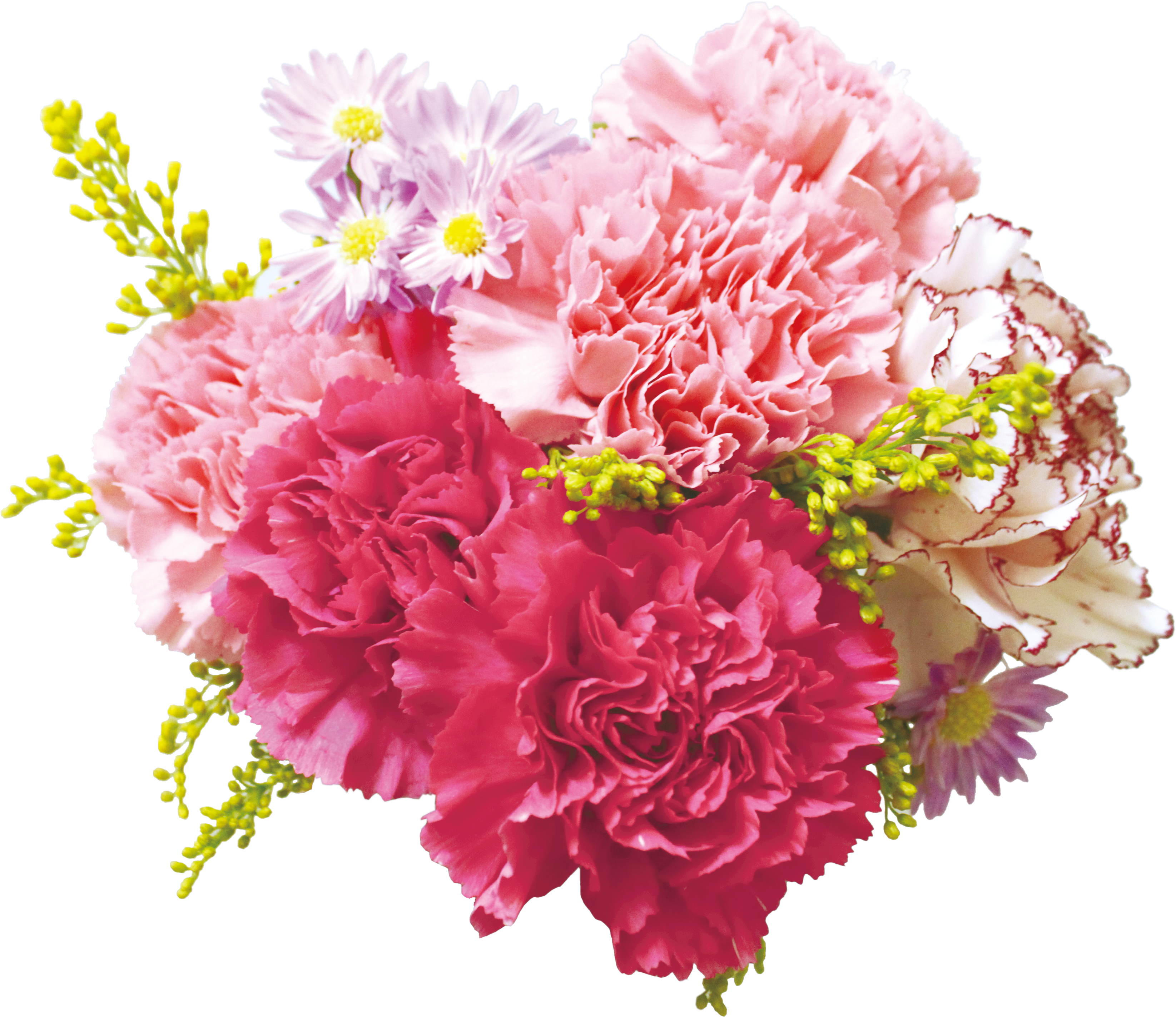 Flower Bouquet Carnation Floral Design Cut Flowers - Free Stock Flower In Png (3402x3402)