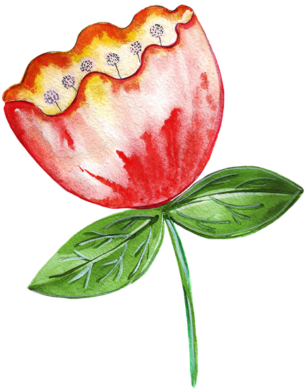 Illustration Of A Bright Flower Tulip - Tulip (451x550)