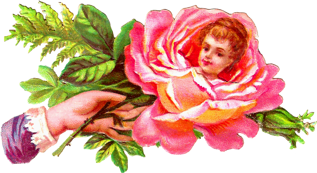 Free Rose Graphic - Love Rose Scrap (1268x868)