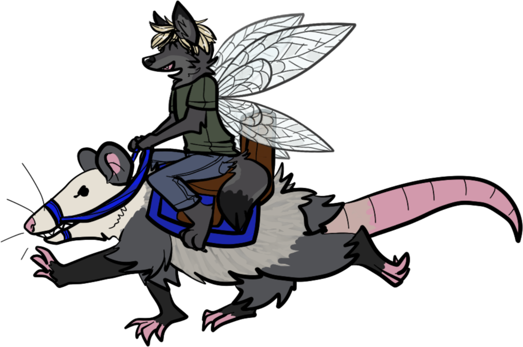 Possum Rider By Ladysilvie - Cartoon (1024x679)