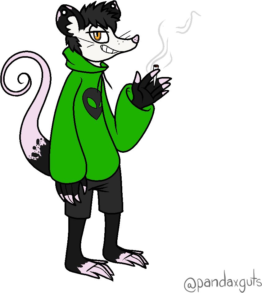 Alex The Possum - Cartoon (1000x1000)