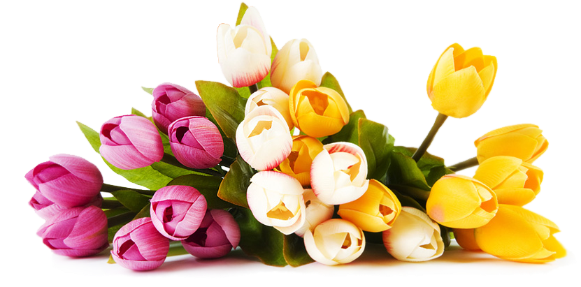 Same Day Delivery Of Fresh Flowers For Every Occasion - Flower Shop Png (851x514)