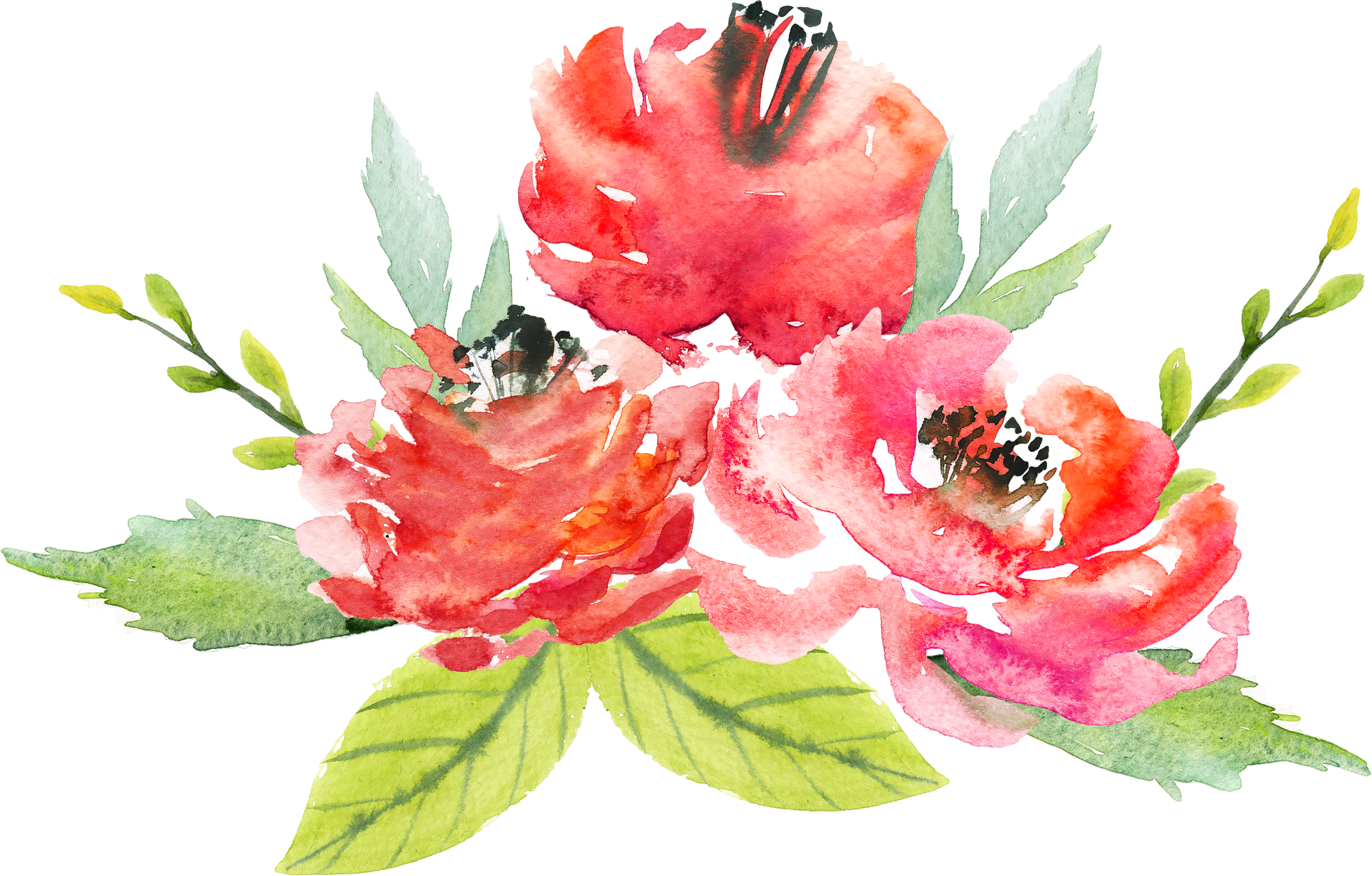Floral Design Flower Watercolor Painting - Painted Watercolor Watercolor Flowers Png (2693x1719)