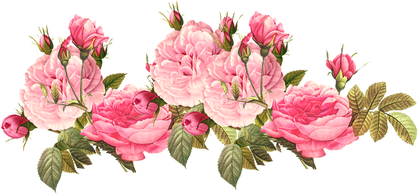 Vintage Pink Flowers Png (1600x839)