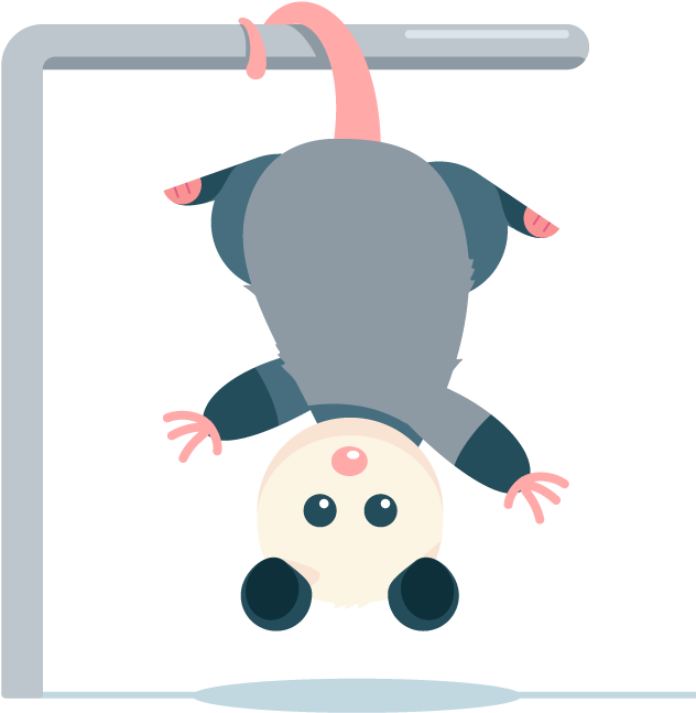 Awesome Possum Messages Sticker-11 - Sticker (720x720)