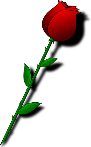 Rose With Thorns - Valentines Day Roses Clipart (309x500)