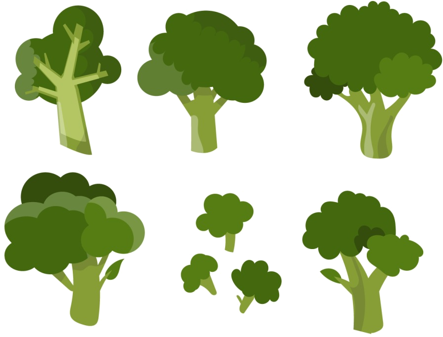 Broccoli Vegetable Clip Art - Broccoli Vegetable Clip Art (929x772)
