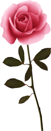 Garden Roses Flower - Garden Roses Flower (500x500)