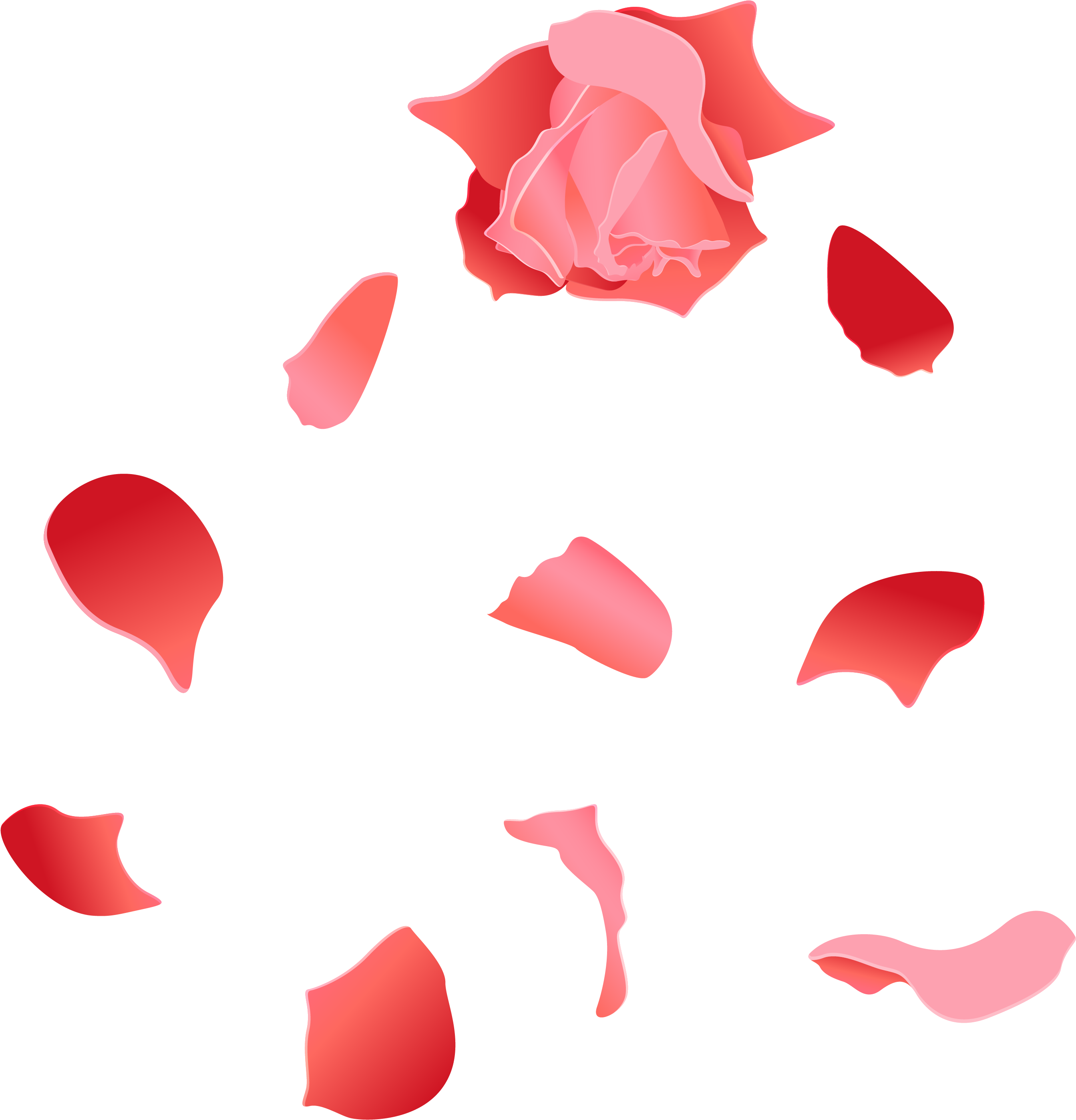 Beach Rose Petal Euclidean Vector - Petalas Vetor Png (3125x3125)
