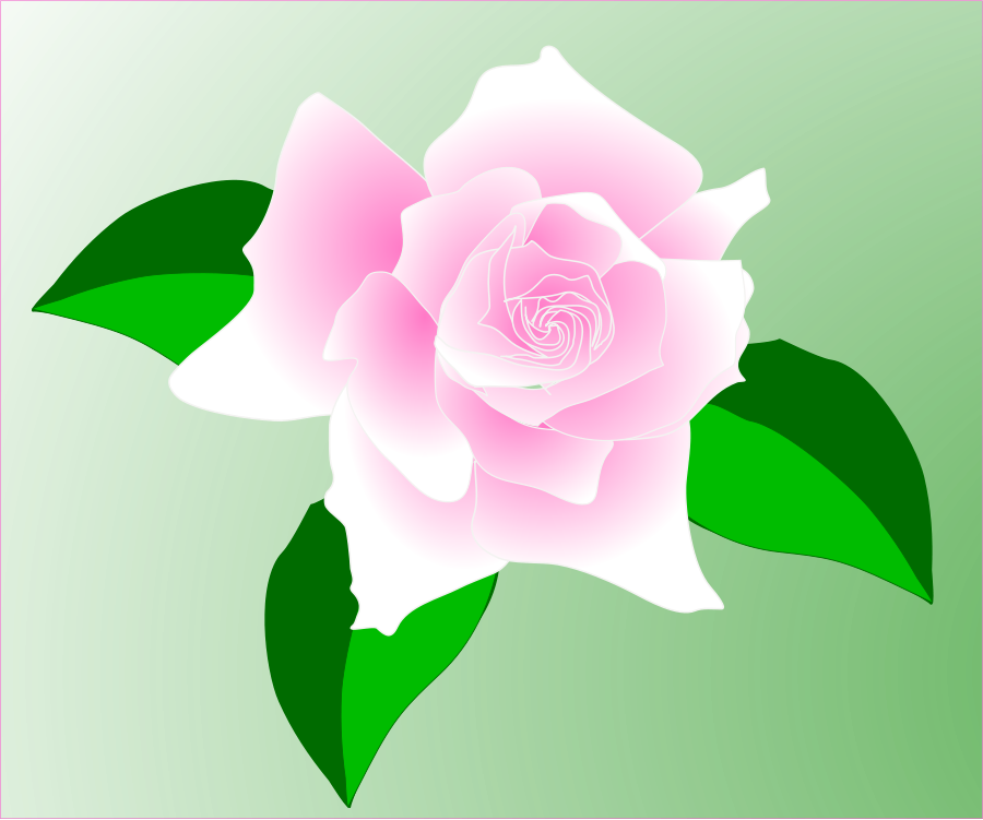 This Free Clip Arts Design Of Pink Rose - Single Pink Rose Clip Art (900x751)
