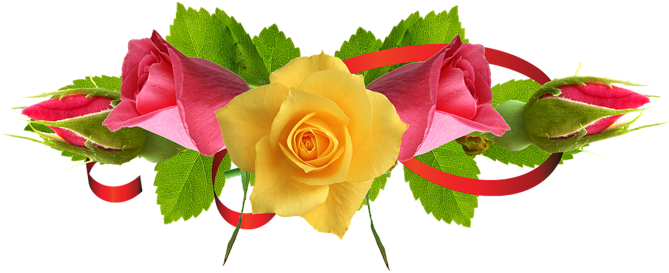 White Rose Png 16, Buy Clip Art - Flower Images Hd Rose Png (960x447)