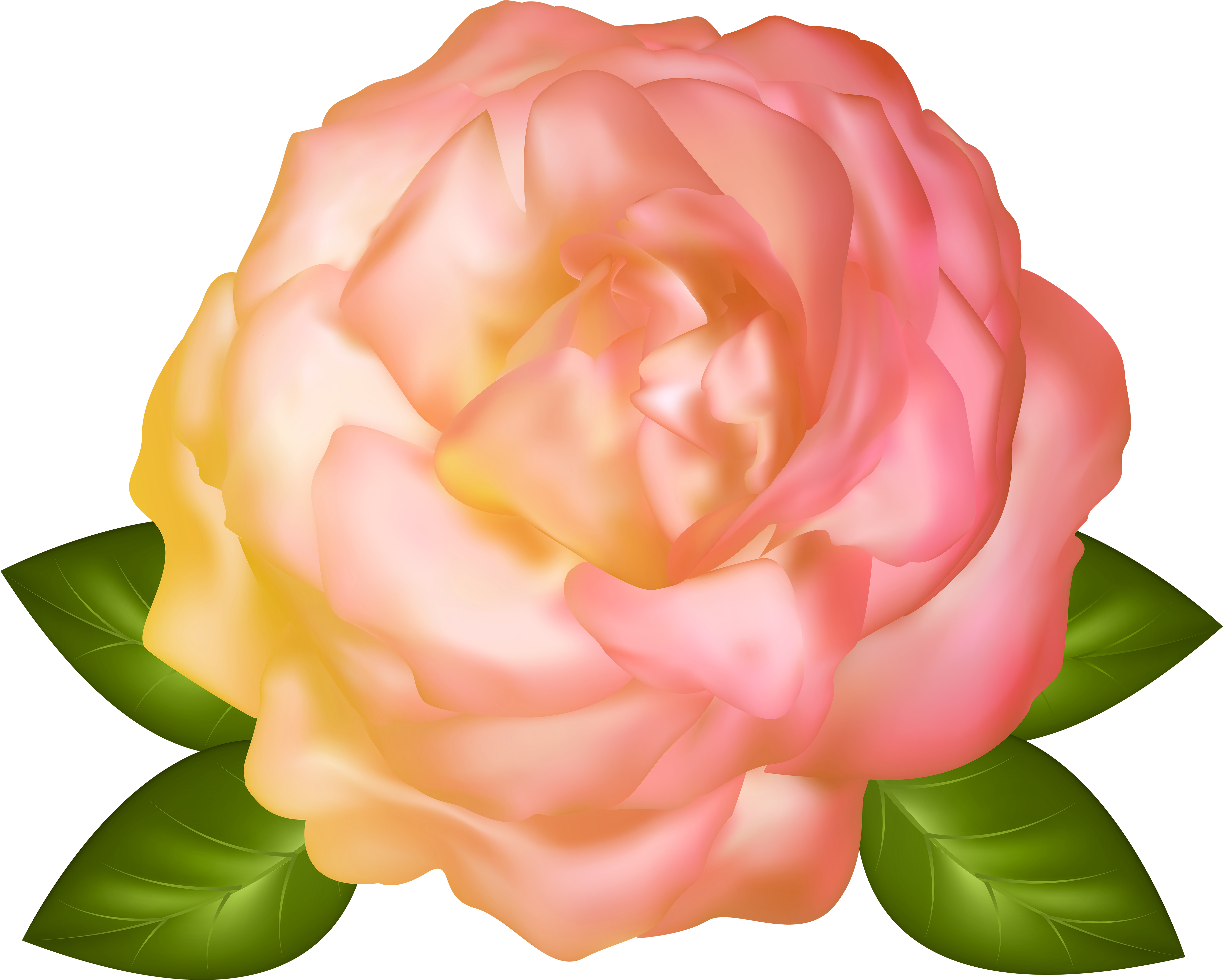Yellow Rose Clipart Transparent - Teth (5000x4008)